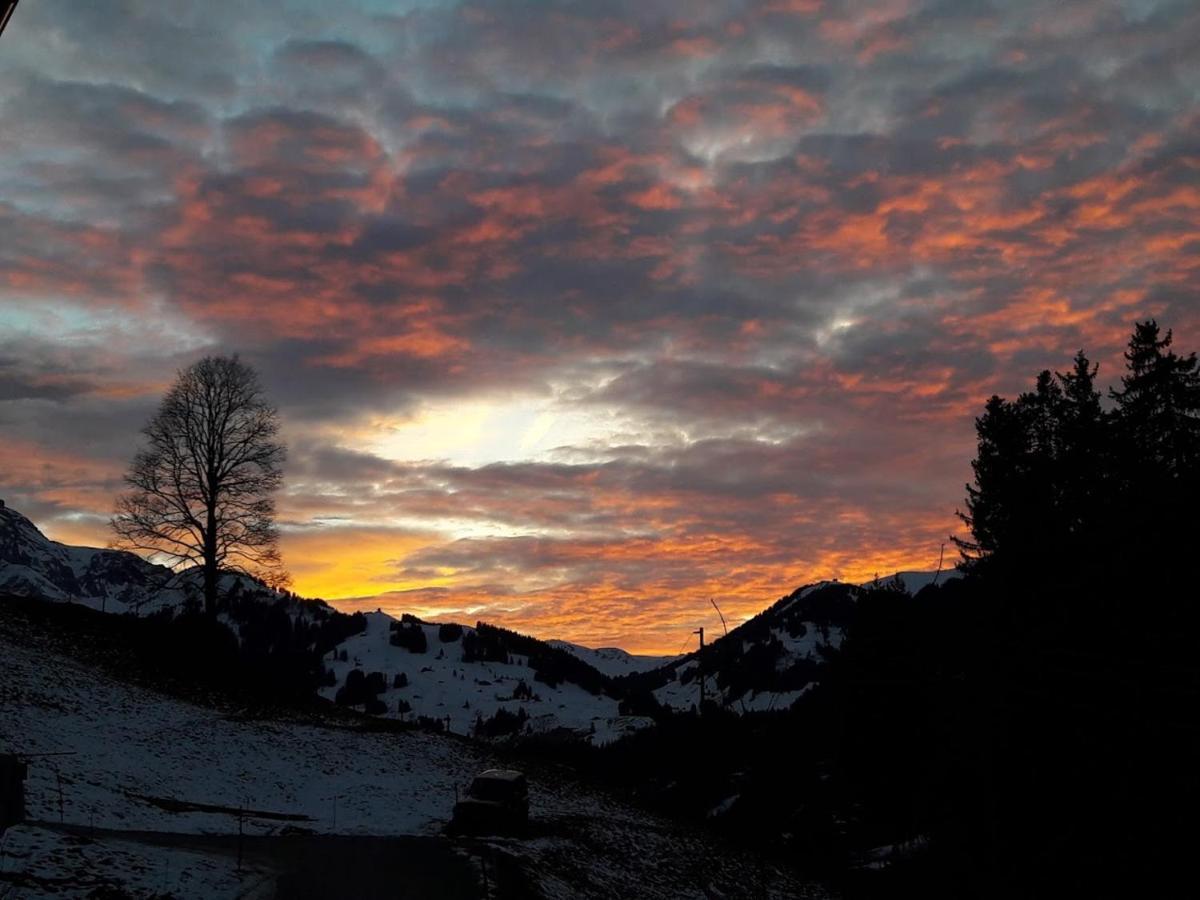 Ferien In Der Bergwelt Von Adelboden Bed & Breakfast Eksteriør bilde