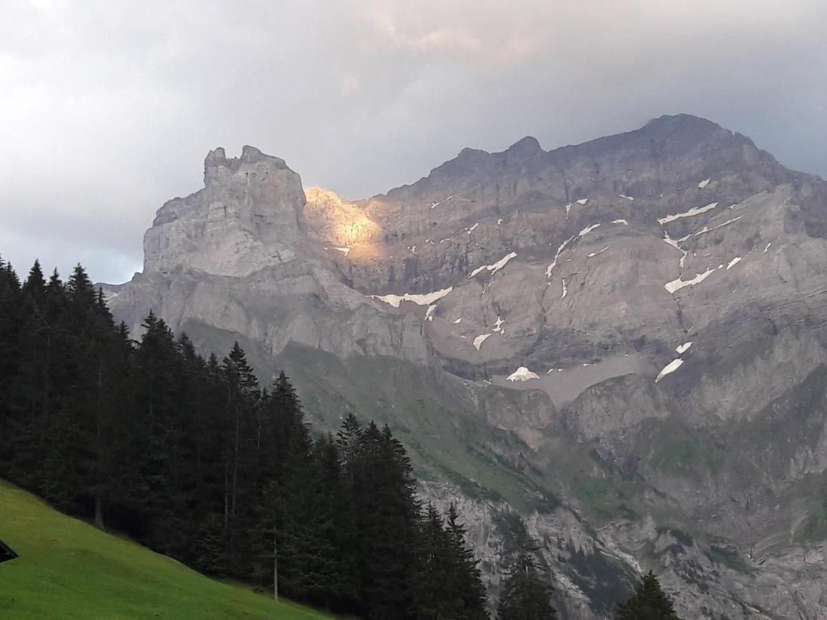 Ferien In Der Bergwelt Von Adelboden Bed & Breakfast Eksteriør bilde