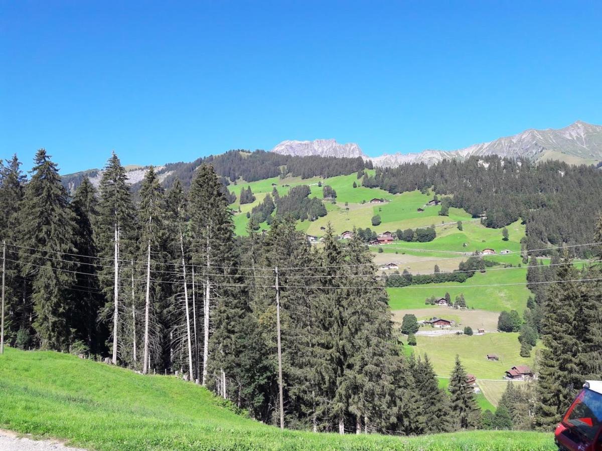 Ferien In Der Bergwelt Von Adelboden Bed & Breakfast Eksteriør bilde